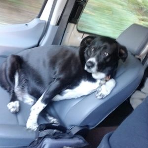 Meet your Posher, Derek